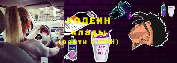 гидра Верхний Тагил