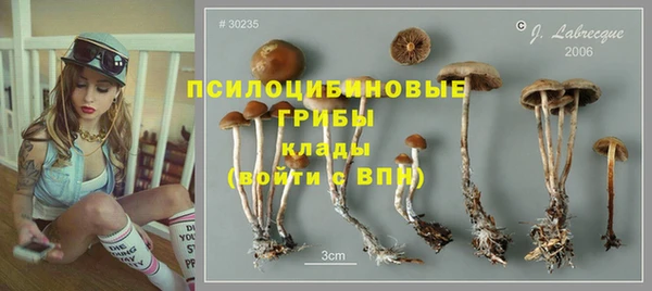дмт Верея