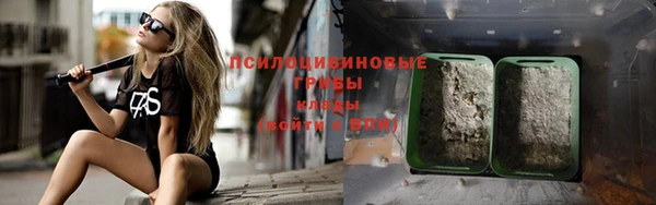 дмт Верея