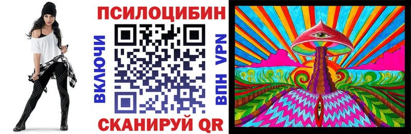 Галлюциногенные грибы Psilocybe  дарнет шоп  Сурск 